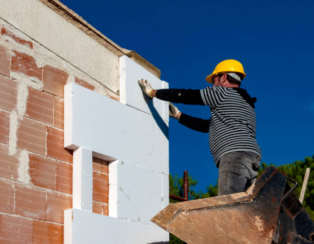 Best Commercial Insulation in Freer, TX