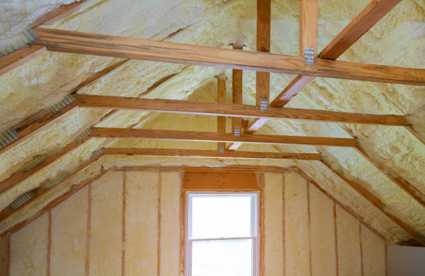 Best Spray Foam Insulation in Freer, TX