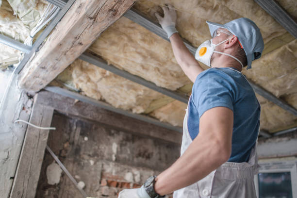 Best Insulation Maintenance and Repair in Freer, TX