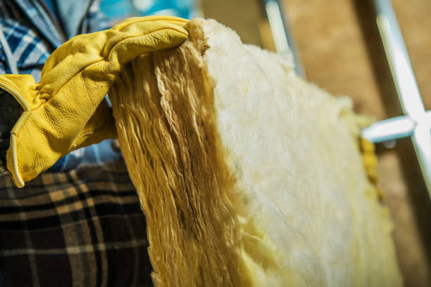 Best Residential Insulation in Freer, TX