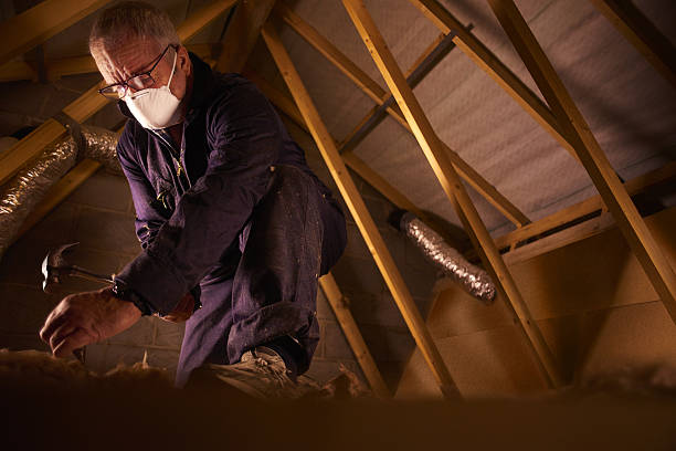  Freer, TX Insulation Contractor Pros
