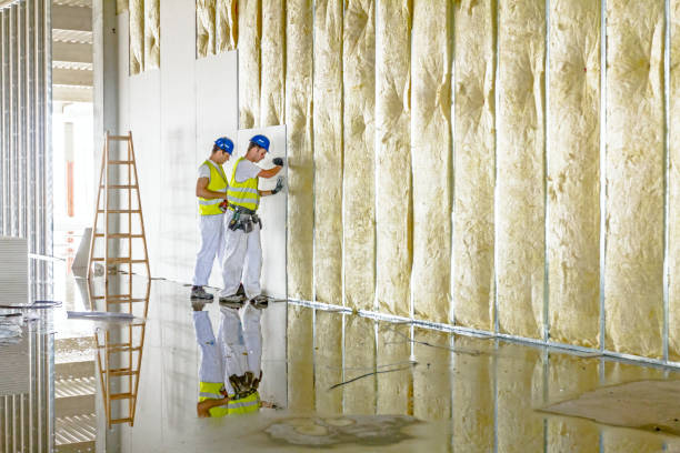 Best Geographic-Specific Insulation Services in Freer, TX